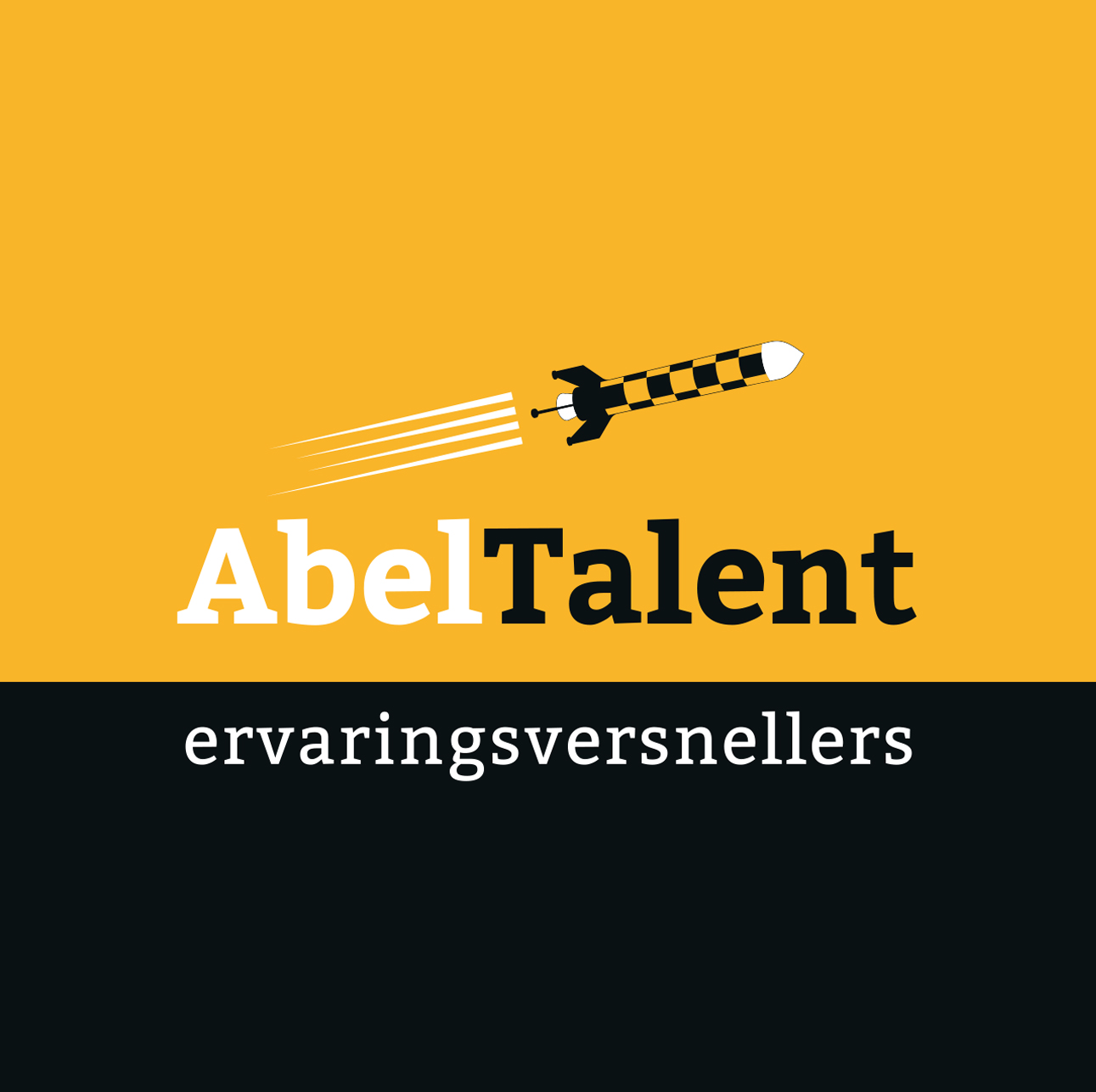 Stage Consultancy Utrecht AbelTalent