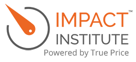 Stage Haarlem Impact Institute