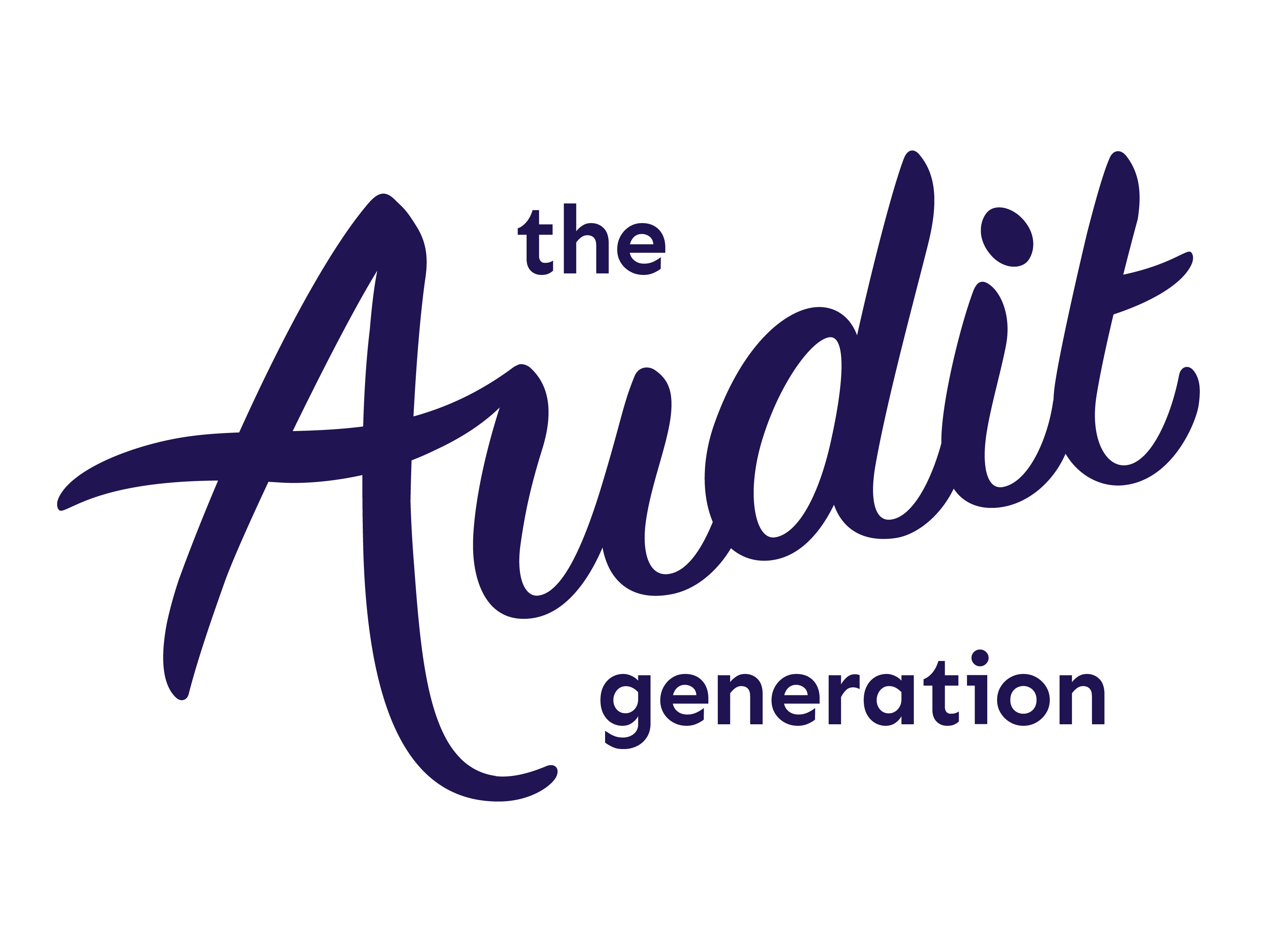The Audit Generation