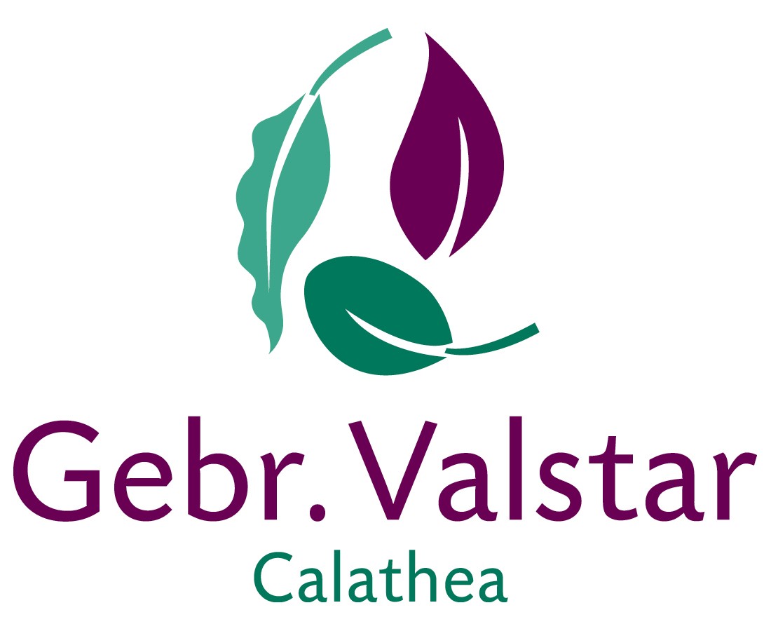Gebr. Valstar